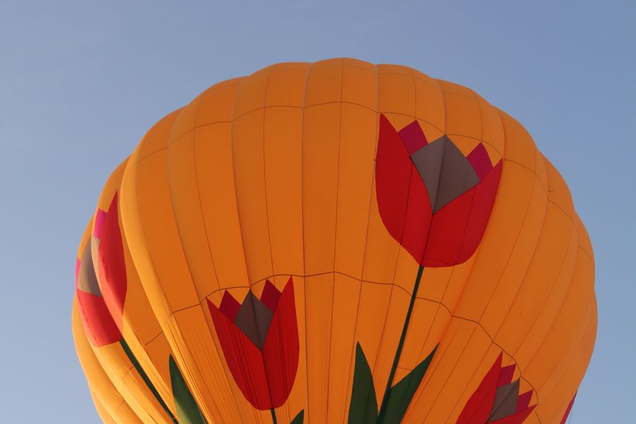 В Великих Луках открылась Международная юбилейная встреча воздухоплавателей (фото)