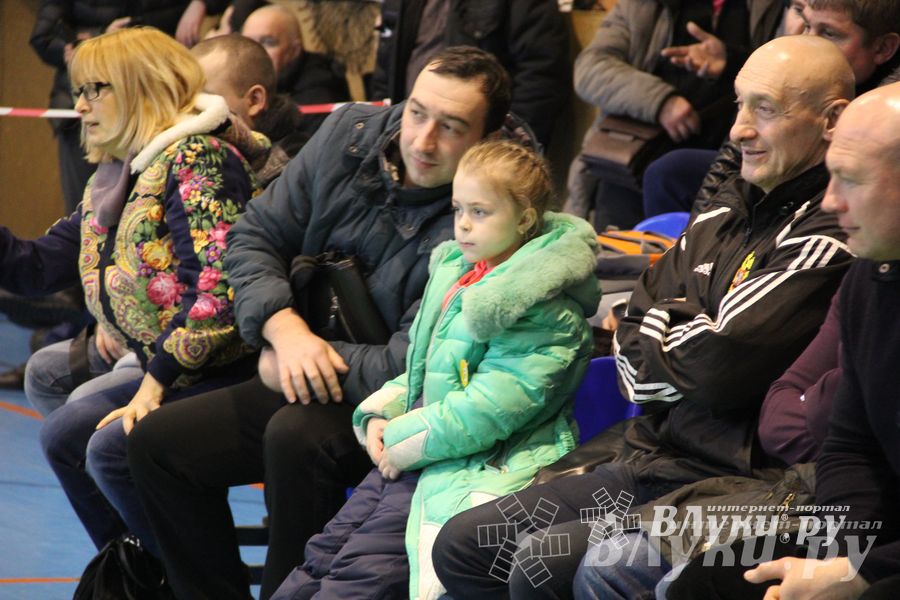 В Великих Луках прошел межрегиональный Открытый Кубок по смешанному боевому единоборству (фото)