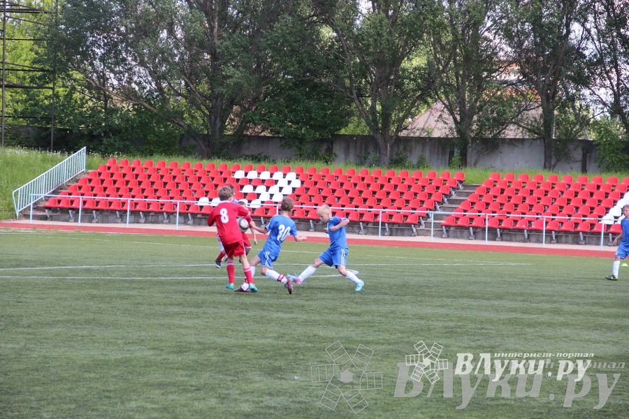 «Локобол-2013» в Великих Луках
