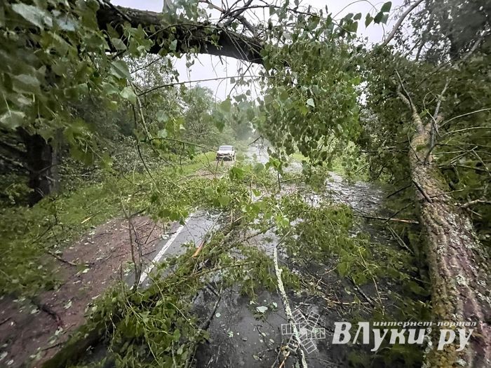 Весь ужас вчерашнего урагана в Великих Луках и районе (ФОТО, ВИДЕО)