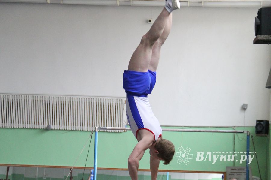В Великих Луках прошел турнир по спортивной гимнастике (фото)