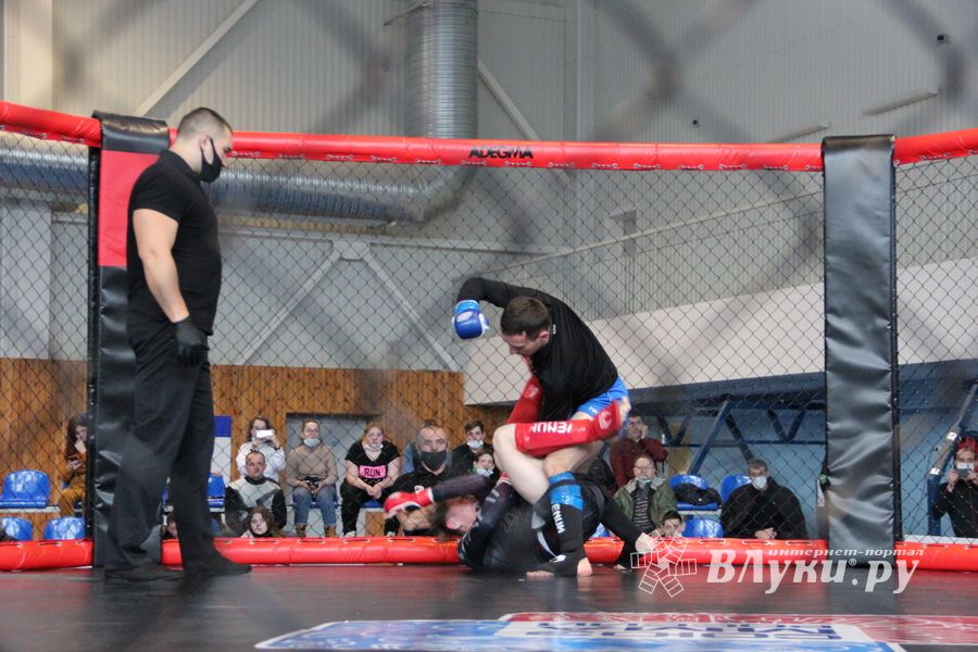 В Великих Луках прошел кубок по смешанному боевому единоборству (ФОТО)
