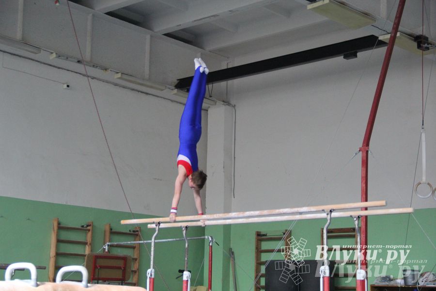 В Великих Луках прошел турнир по спортивной гимнастике (фото)