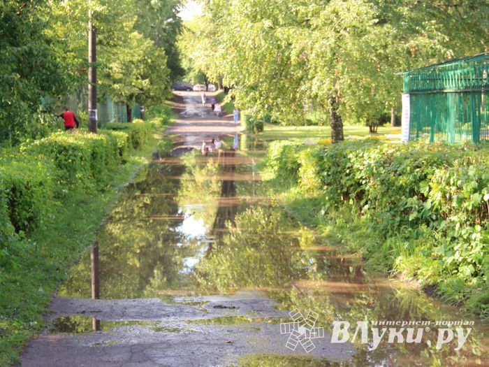 И плывем, и плаваем – Великие Луки после ливня (ФОТО)