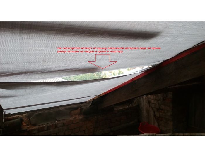 Великолучане жалуются на некачественный ремонт крыши (ФОТО)