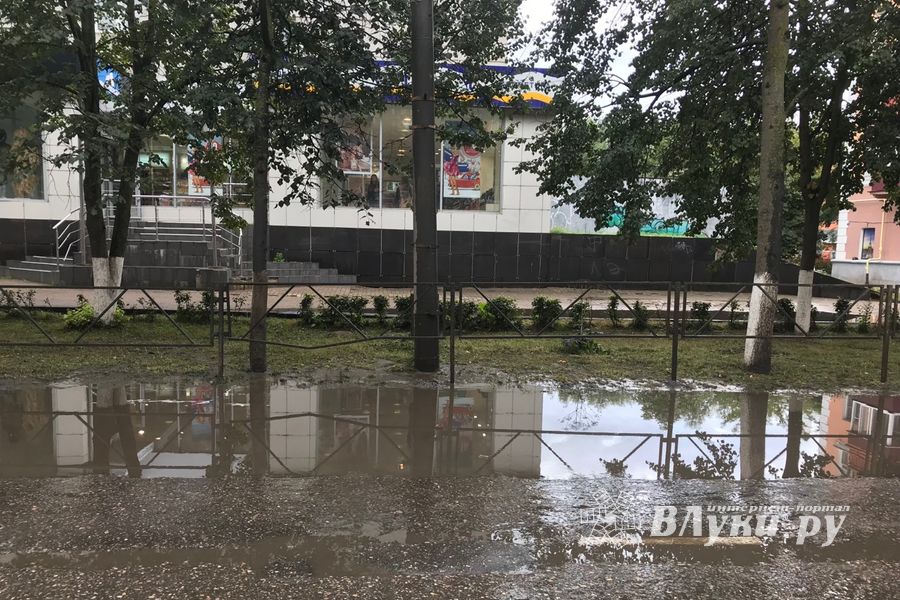 Луки в лужах (ФОТО)