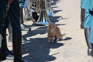 Военный парад в Великих Луках, часть II (ФОТО)