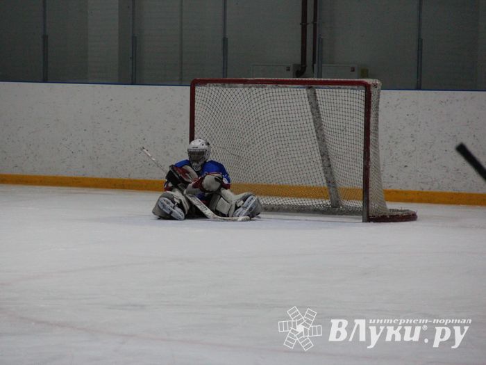 В Великих Луках прошел детский Открытый турнир по хоккею (ФОТО)