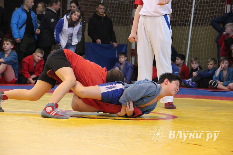 Открытый турнир по самбо «Новогодняя звезда-2019» прошел в Великих Луках (ФОТО)