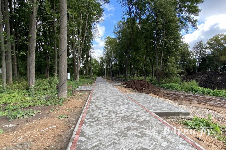 Новости из будущего парка Петровского (ФОТО)