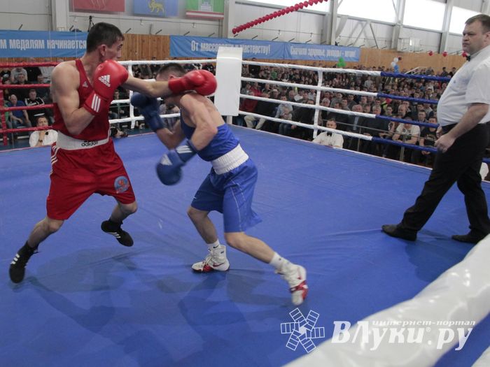Матчевая встреча по боксу Великие Луки —Псков — Грозный (ФОТО)