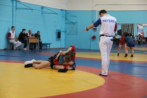В Великих Луках прошел Чемпионат и Первенство области по самбо (фоторепортаж)