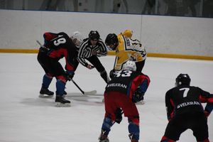 Матч в рамках Регионального Чемпионата НХЛ прошел в «Айсберге» (ФОТО)
