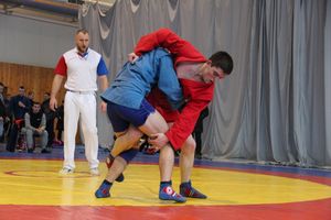 Всероссийские соревнования по самбо проходят в Великих Луках (ФОТО, 0+)