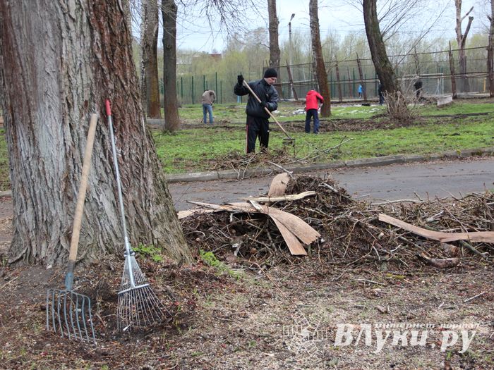 На острове Дятлинка проходит субботник