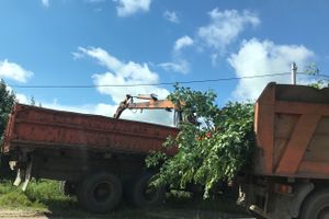 Дачников Великих Лук порадовали районные дорожники (ФОТО)