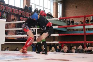 В Великих Луках прошел международный открытый Кубок по смешанному боевому единоборству (ФОТО) (16+)