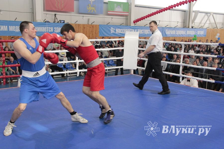 Матчевая встреча по боксу Великие Луки —Псков — Грозный (ФОТО)