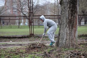 На острове Дятлинка проходит субботник