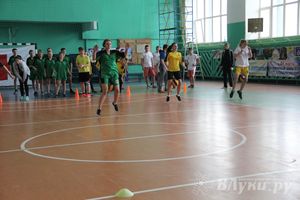 В Великих Луках прошли соревнования на Кубок Красного Креста