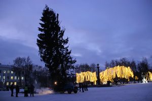Новогодняя ёлочка приехала наконец в Великие Луки (ФОТО)