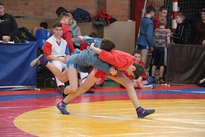 В Великих Луках прошли соревнования по самбо (ФОТО)