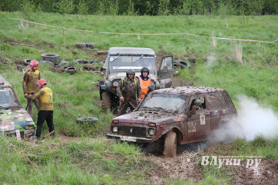 Кураж (ФОТО)