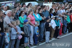 В Великих Луках прошел Фестиваль авиамодельного спорта (фото)