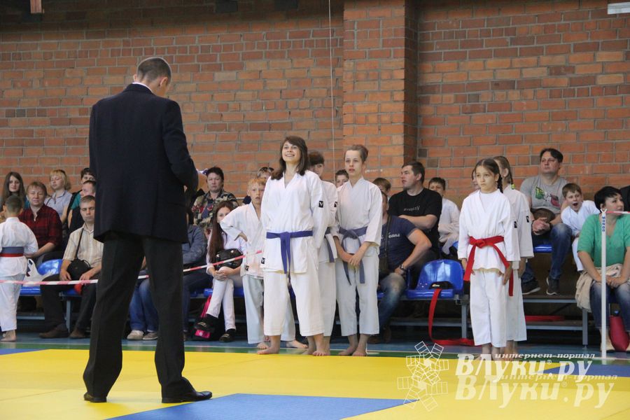 Великолучане стали победителями турнира по каратэ «Неприкосновенный запас, дети — Отчизны 2015» (фото)