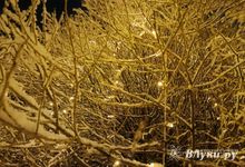 Энергетики продолжают ликвидировать последствия циклона «Чарли»