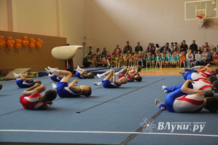 Парад гимнастики