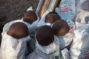 Андрей Турчак принял участие в поиске останков солдат Великой Отечественной (фото)