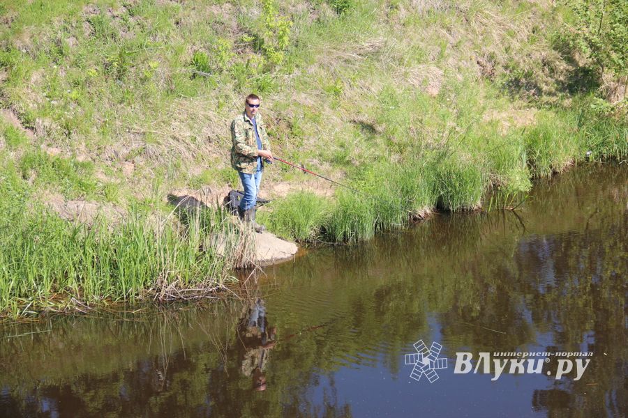 В Великих Луках состоялся Чемпионат города по ловле рыбы спиннингом (ФОТО)