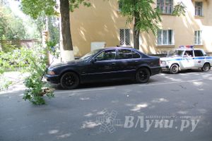 В Великих Луках на БМВ упало дерево (ФОТО)