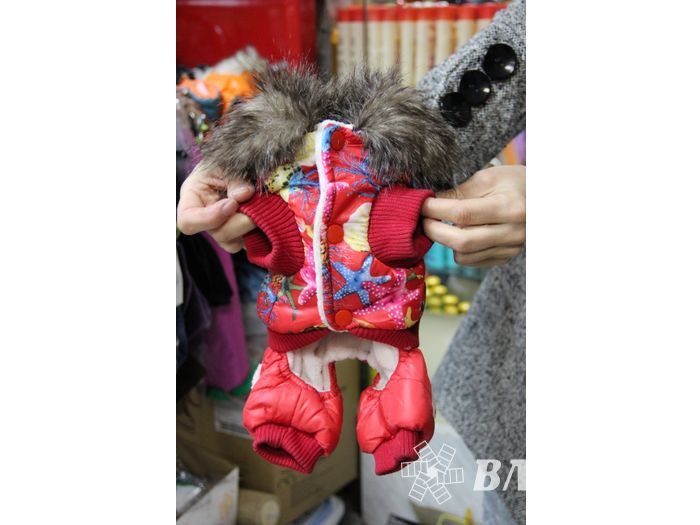 «Zooбастики»: подарите праздник своим любимцам! (ФОТО+ВИДЕО)