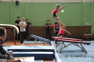 В Великих Луках состоялось Первенство по командной гимнастике (фото)