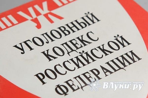 В Пскове полицией раскрыто резонансное преступление