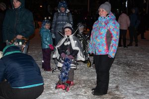 В Великих Луках зажглась новогодная ёлка (ФОТО)