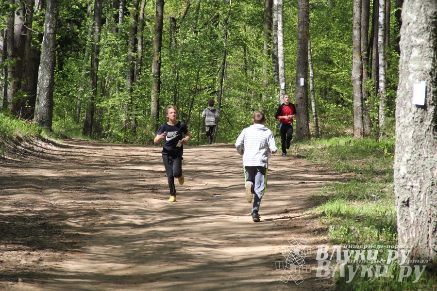 В Великолукском районе прошли массовые соревнований по спортивному ориентированию (фото)