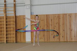 В Великих Луках прошло Открытое первенство города по художественной гимнастике (ФОТО)