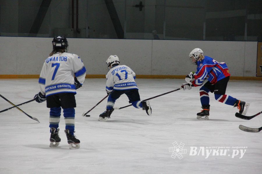 В Великих Луках прошел детский Открытый турнир по хоккею (ФОТО)