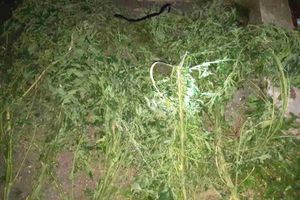 В Великих Луках полицией выявлена нарколаборатория (ФОТО)