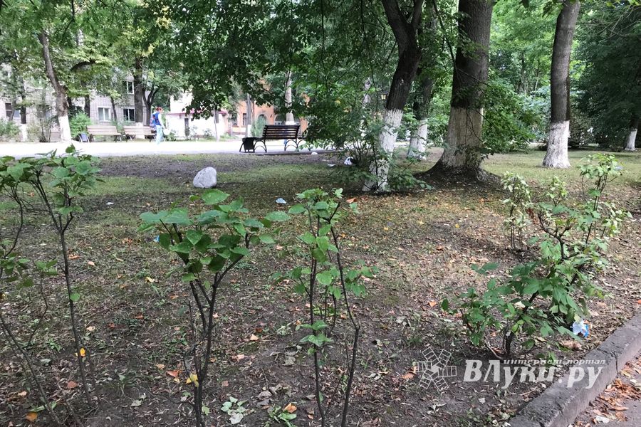 Парк Пушкина: «... А вкруг меня глухое запустенье...» (ФОТО)