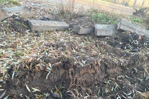 В Великих Луках на о. Дятлинка продолжаются ремонтные работы (фото)