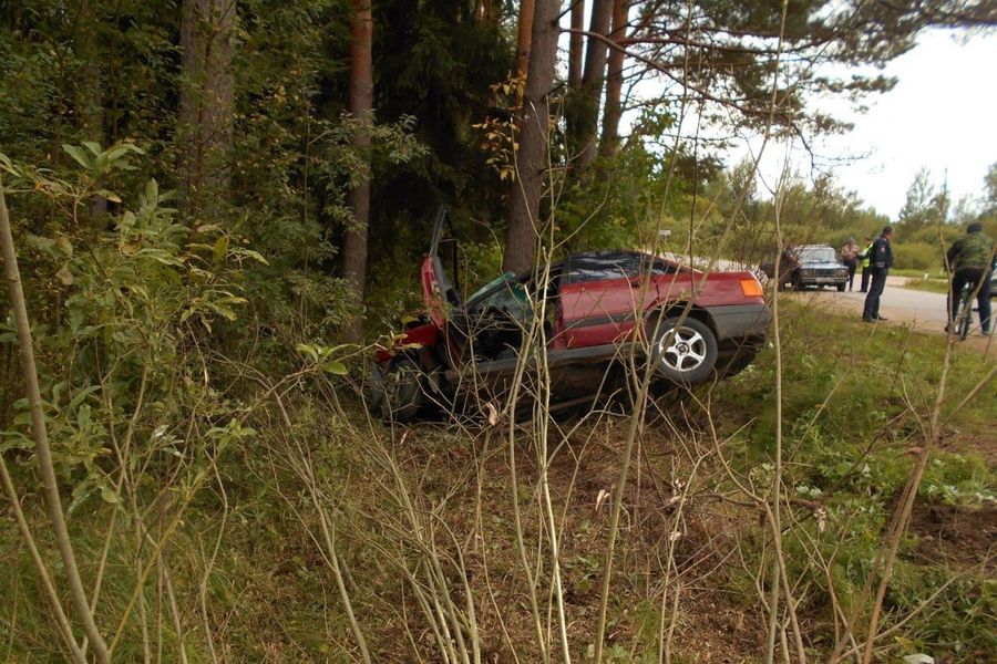 Смертельное ДТП произошло в Пушкиногорском районе (ФОТО)