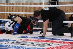 Открытый кубок по смешанному боевому единоборству ММА прошел в Великих Луках (ФОТО)