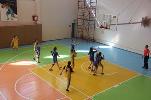 Великолучанки стали победителями областной Спартакиады по баскетболу (ФОТО)