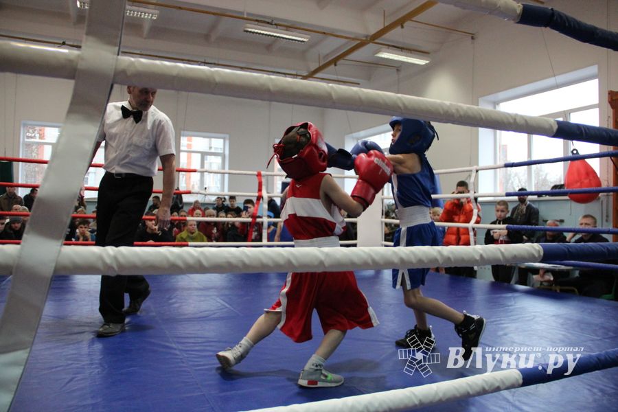В Великих Луках завершились соревнования по боксу (ФОТО)