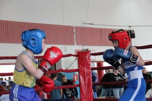 В Великих Луках прошло Первенство города по боксу (ФОТО)