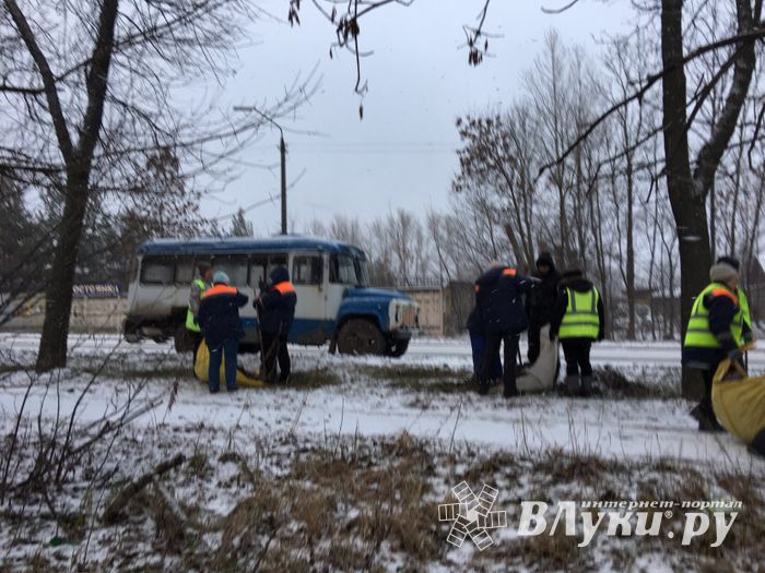 На проспекте Гагарина идет формовка деревьев (ФОТО)